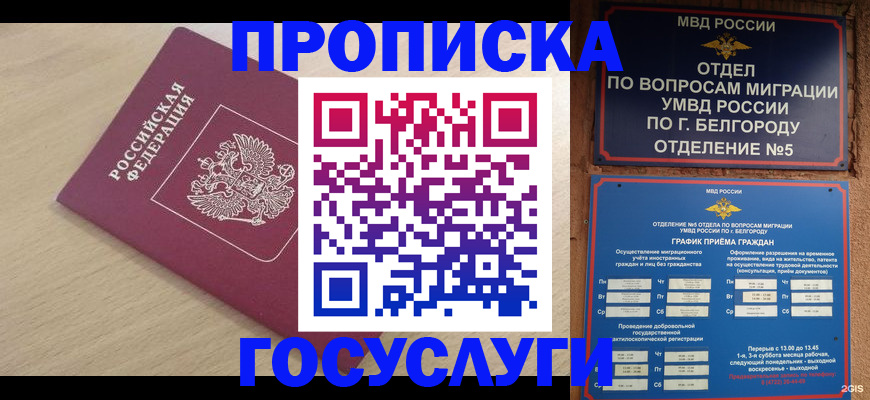 прописка законно в Рубцовске